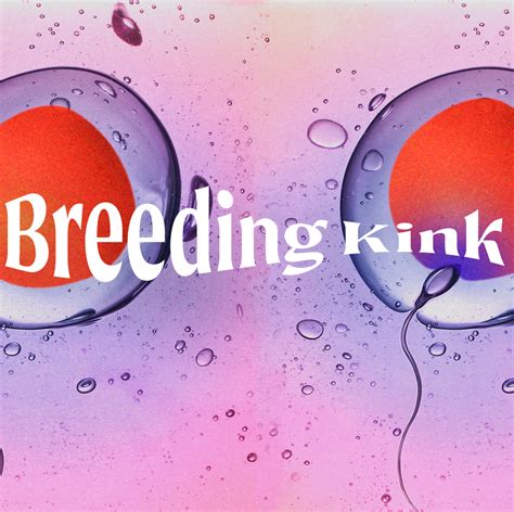 whats a breeding kink|Why is it called a breeding kink like it’s unusual when the ...